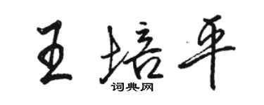 駱恆光王培平行書個性簽名怎么寫