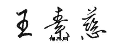 駱恆光王素慈行書個性簽名怎么寫
