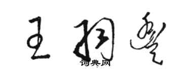 駱恆光王羽豐草書個性簽名怎么寫