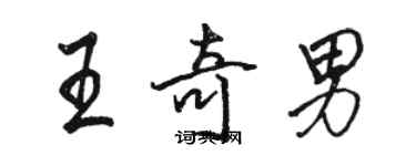 駱恆光王奇男行書個性簽名怎么寫