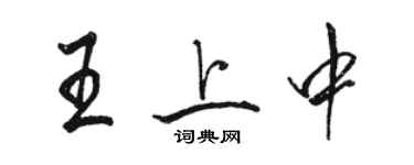 駱恆光王上中行書個性簽名怎么寫