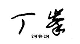 朱錫榮丁峰草書個性簽名怎么寫