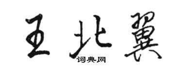 駱恆光王北翼行書個性簽名怎么寫