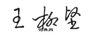 駱恆光王柳堅草書個性簽名怎么寫