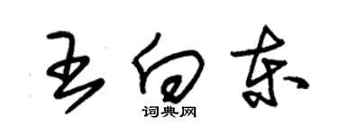 朱錫榮王向東草書個性簽名怎么寫