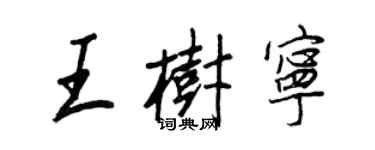 王正良王樹寧行書個性簽名怎么寫