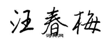 王正良汪春梅行書個性簽名怎么寫