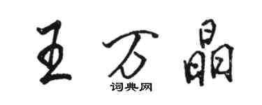 駱恆光王萬晶行書個性簽名怎么寫