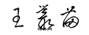 駱恆光王叢苗草書個性簽名怎么寫