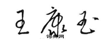 駱恆光王康玉草書個性簽名怎么寫