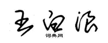 朱錫榮王白浪草書個性簽名怎么寫