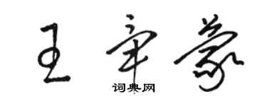 駱恆光王畢蒙草書個性簽名怎么寫