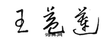 駱恆光王益蓮草書個性簽名怎么寫