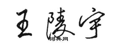 駱恆光王陵宇行書個性簽名怎么寫