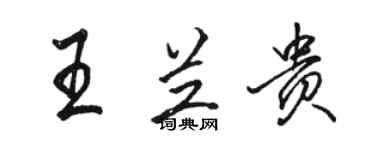 駱恆光王蘭貴行書個性簽名怎么寫