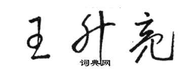 駱恆光王升亮草書個性簽名怎么寫