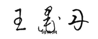 駱恆光王墨丹草書個性簽名怎么寫