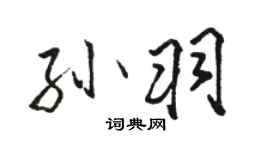 駱恆光孫羽行書個性簽名怎么寫