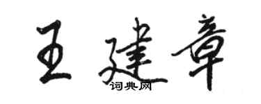 駱恆光王建章行書個性簽名怎么寫