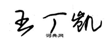 朱錫榮王丁凱草書個性簽名怎么寫