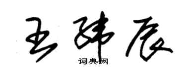 朱錫榮王緯辰草書個性簽名怎么寫