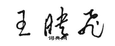 駱恆光王映飛草書個性簽名怎么寫