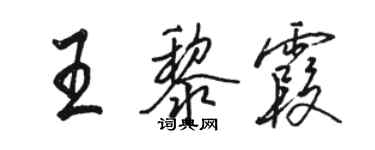 駱恆光王黎霞行書個性簽名怎么寫