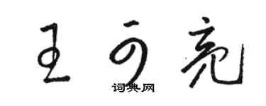 駱恆光王可亮草書個性簽名怎么寫