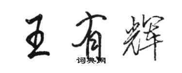 駱恆光王有輝行書個性簽名怎么寫