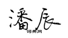 曾慶福潘辰行書個性簽名怎么寫