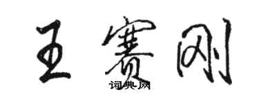 駱恆光王賽剛行書個性簽名怎么寫