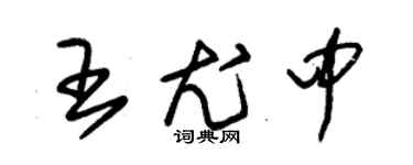 朱錫榮王尤中草書個性簽名怎么寫