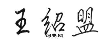 駱恆光王紹盟行書個性簽名怎么寫