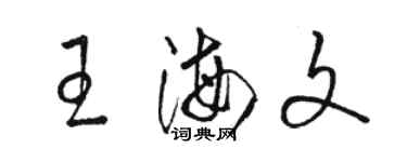 駱恆光王海文草書個性簽名怎么寫