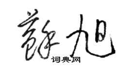 駱恆光蘇旭草書個性簽名怎么寫