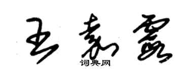 朱錫榮王嘉霞草書個性簽名怎么寫