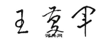 駱恆光王慶軍草書個性簽名怎么寫