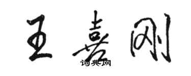 駱恆光王喜剛行書個性簽名怎么寫