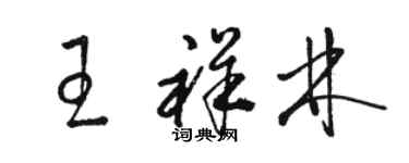 駱恆光王祥林草書個性簽名怎么寫