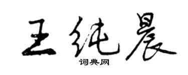 曾慶福王純晨行書個性簽名怎么寫