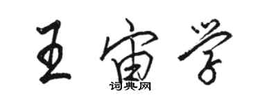 駱恆光王宙學行書個性簽名怎么寫