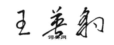 駱恆光王英豹草書個性簽名怎么寫