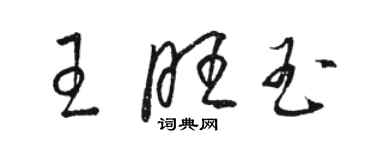 駱恆光王旺玉草書個性簽名怎么寫