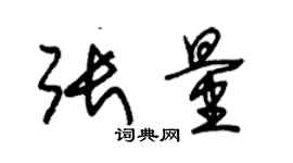 朱錫榮張量草書個性簽名怎么寫