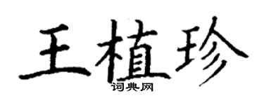 丁謙王植珍楷書個性簽名怎么寫