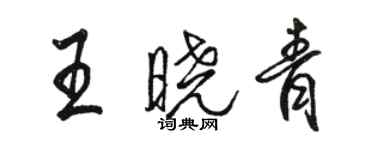 駱恆光王曉青行書個性簽名怎么寫