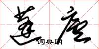 朱錫榮蓬廬草書怎么寫