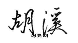 駱恆光胡溪行書個性簽名怎么寫