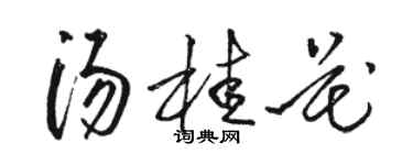 駱恆光湯桂花草書個性簽名怎么寫