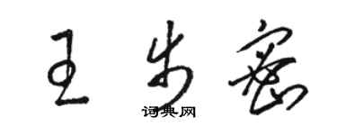 駱恆光王步密草書個性簽名怎么寫